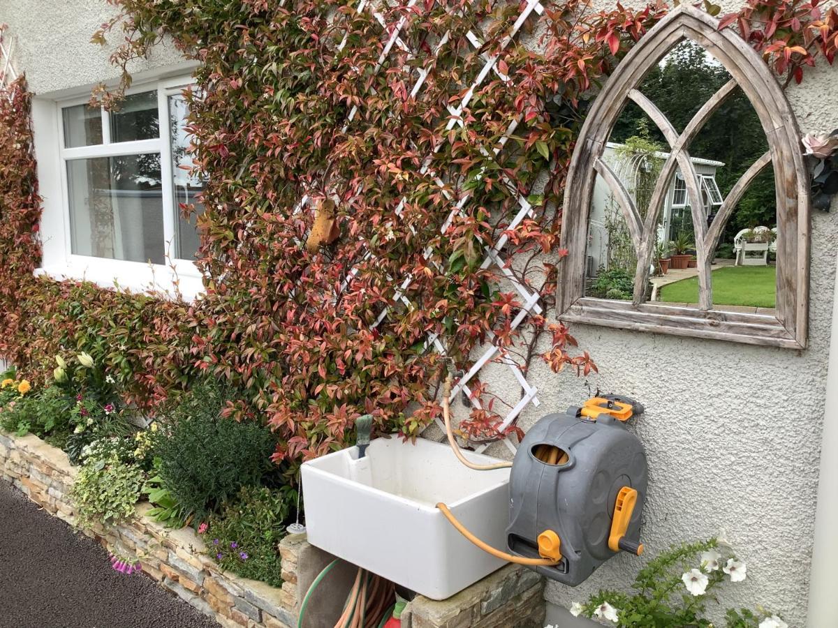 Laurel Cottage Ballymoney Exterior foto